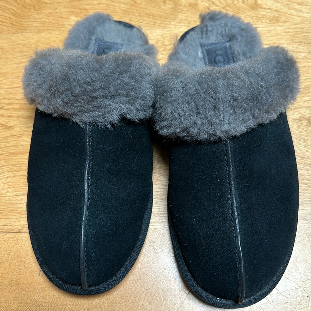 Ugg Scuffette II